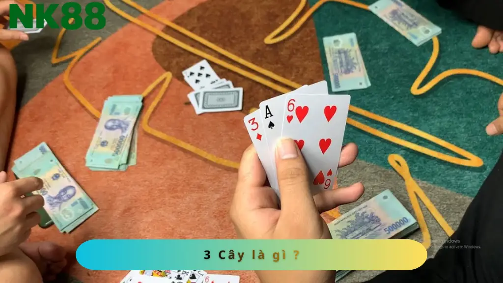 Bài 3 cây là gì ?